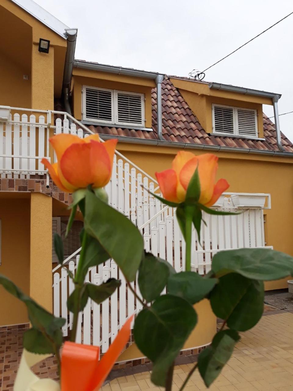 Golden House Apartments Čačak Exterior foto